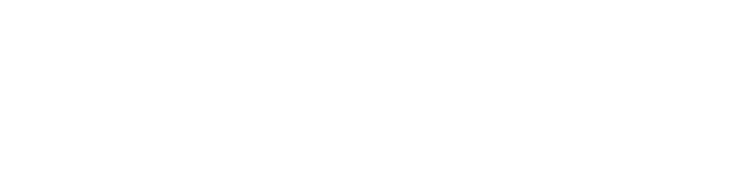 PolyWorks